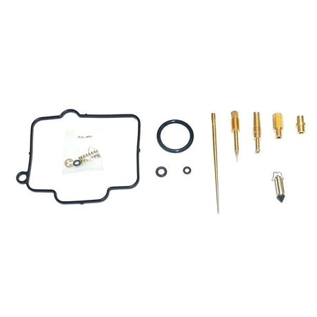 WSM CARBURETOR KIT (016 - 722) - DRIVEN Canada's Powersports 865369273980016 - 722