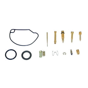 WSM CARBURETOR KIT (016 - 726) - DRIVEN Canada's Powersports 865369219391016 - 726