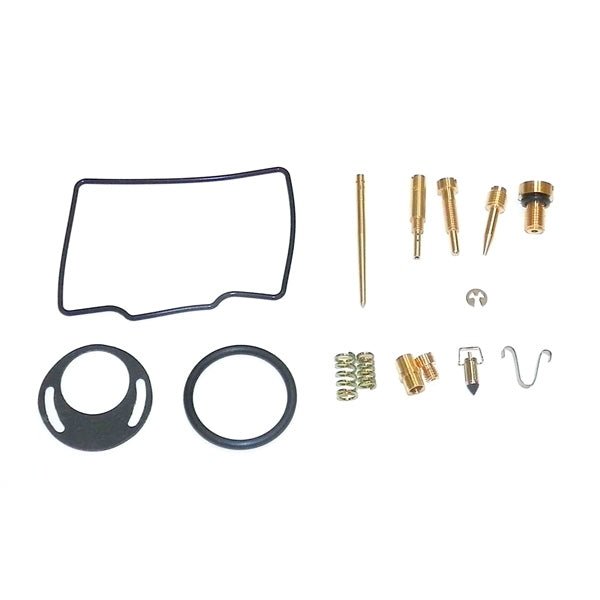 WSM CARBURETOR KIT (016 - 728) - DRIVEN Canada's Powersports 865369140169016 - 728