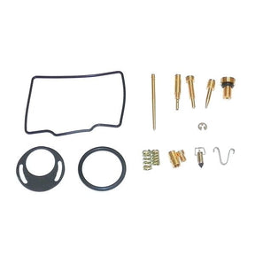 WSM CARBURETOR KIT (016 - 728) - DRIVEN Canada's Powersports 865369140169016 - 728