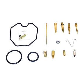 WSM CARBURETOR KIT (016 - 730) - DRIVEN Canada's Powersports 865369304059016 - 730