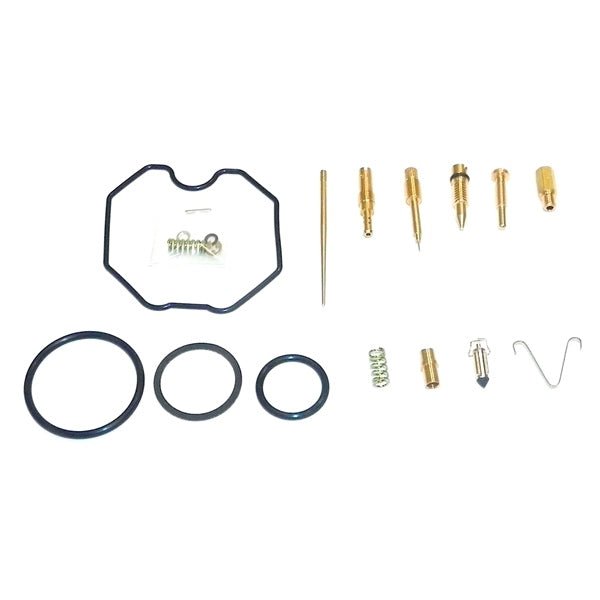 WSM CARBURETOR KIT (016 - 732) - DRIVEN Canada's Powersports 865369043385016 - 732