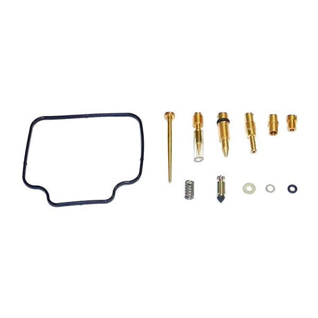 WSM CARBURETOR KIT (016 - 742) - DRIVEN Canada's Powersports 865369118106016 - 742