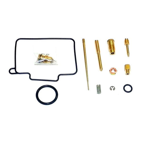 WSM CARBURETOR KIT (016 - 753) - DRIVEN Canada's Powersports 865369169894016 - 753