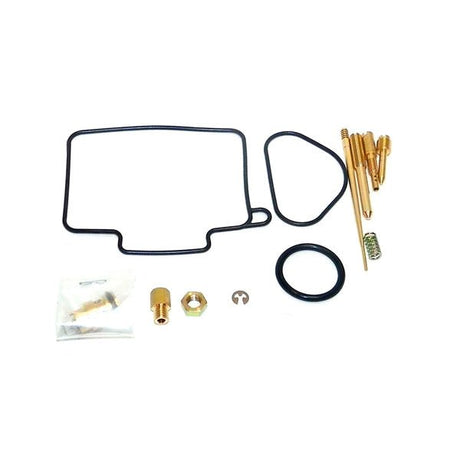 WSM CARBURETOR KIT (016 - 802) - DRIVEN Canada's Powersports 865369071708016 - 802