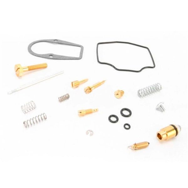 WSM CARBURETOR KIT (016 - 869) - DRIVEN Canada's Powersports 865369147281016 - 869