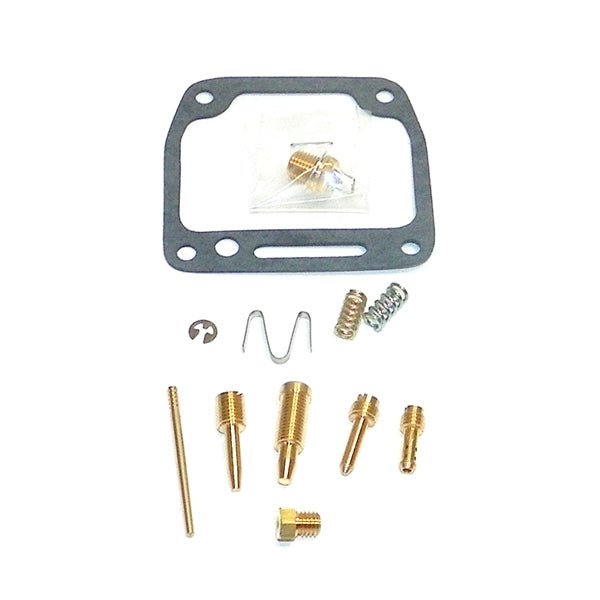 WSM CARBURETOR KIT (016 - 873) - DRIVEN Canada's Powersports 865369329373016 - 873