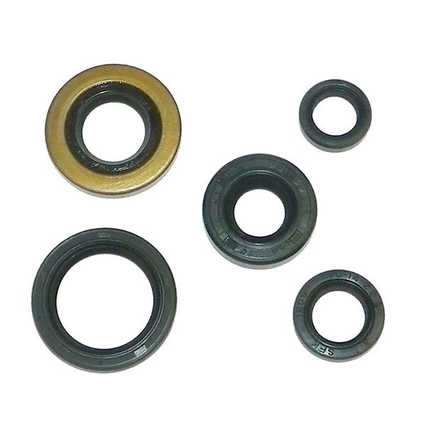 WSM CRANKSHAFT SEAL KIT (21 - 100) - DRIVEN Canada's Powersports 86536922483821 - 100