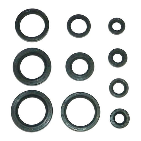 WSM CRANKSHAFT SEAL KIT (21 - 102) - DRIVEN Canada's Powersports 86536922484521 - 102