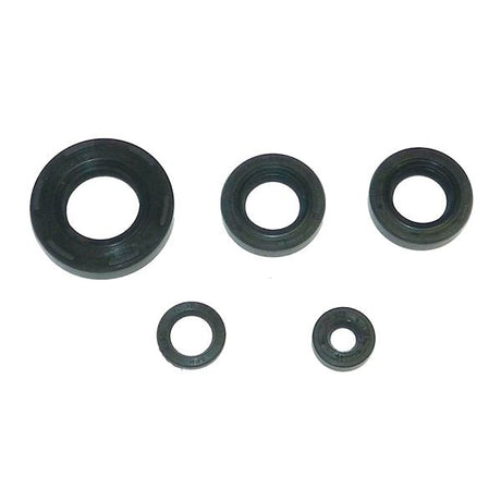 WSM CRANKSHAFT SEAL KIT (21 - 200) - DRIVEN Canada's Powersports 86536922486921 - 200
