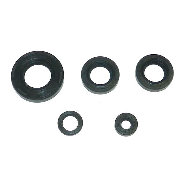 WSM CRANKSHAFT SEAL KIT (21 - 200) - DRIVEN Canada's Powersports 86536922486921 - 200