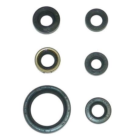 WSM CRANKSHAFT SEAL KIT (21 - 204) - DRIVEN Canada's Powersports 86536919821421 - 204