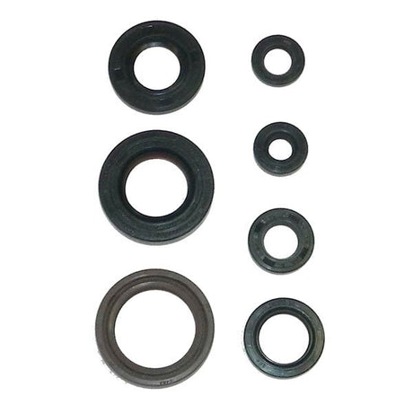 WSM CRANKSHAFT SEAL KIT (21 - 500) - DRIVEN Canada's Powersports 86536919824521 - 500