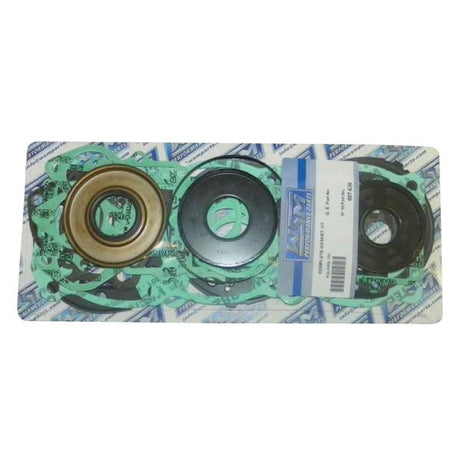 WSM ENGINE GASKET COMPLETE KIT - DRIVEN Canada's Powersports 865369071852007 - 636