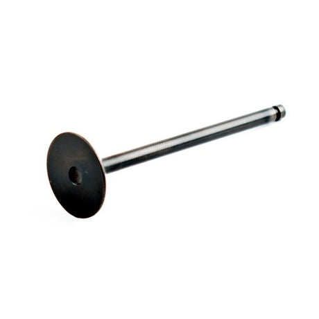 WSM EXHAUST VALVE (010 - 018) - DRIVEN Canada's Powersports 865369139873010 - 018