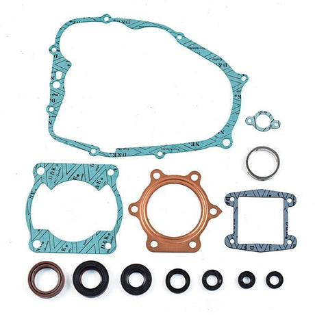 WSM GASKET COMPLETE KIT (25 - 500 - OS) - DRIVEN Canada's Powersports 86536908603025 - 500 - OS