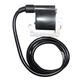 WSM IGNITION COIL (004 - 172) - DRIVEN Canada's Powersports 865369330164004 - 172