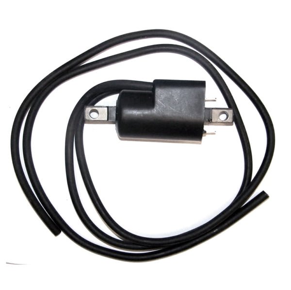 WSM IGNITION COIL (004 - 176) - DRIVEN Canada's Powersports 865369254163004 - 176