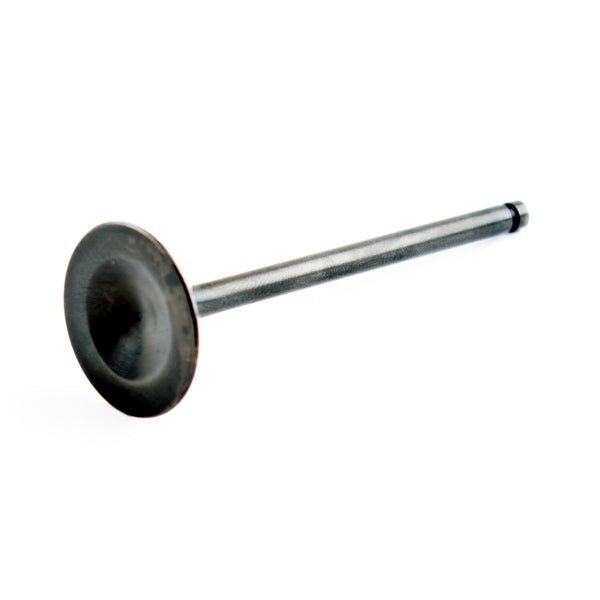 WSM INTAKE VALVE (010 - 017) - DRIVEN Canada's Powersports 865369133161010 - 017