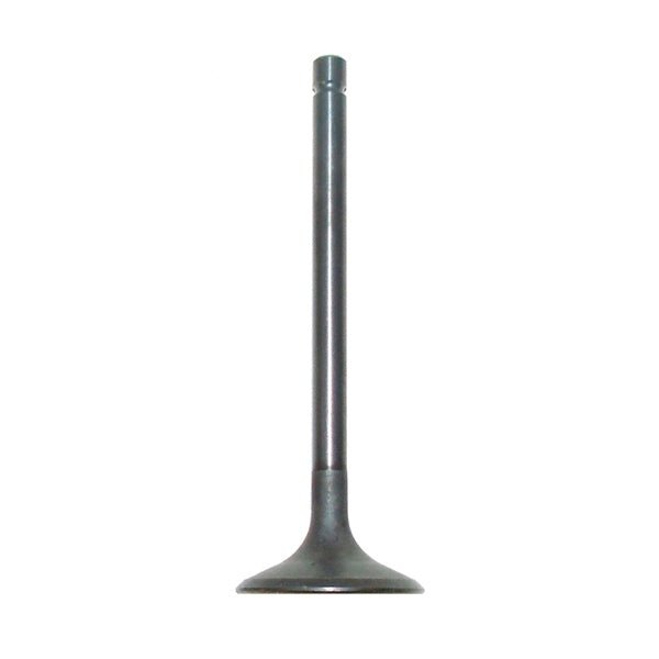 WSM INTAKE VALVE (017 - 313 - 01) - DRIVEN Canada's Powersports 865369250240017 - 313 - 01