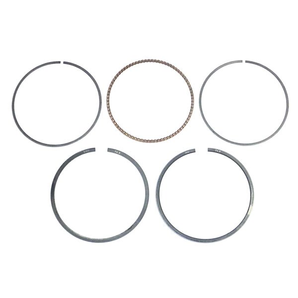 WSM PISTON RING SET (010 - 964 - 07) - DRIVEN Canada's Powersports 865369299706010 - 964 - 07