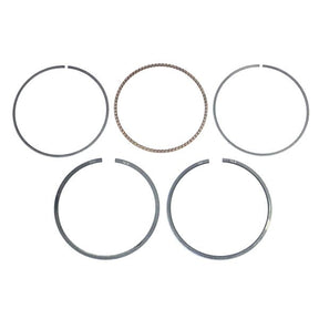 WSM PISTON RING SET (010 - 964) - DRIVEN Canada's Powersports 865369207831010 - 964