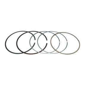 WSM PISTON RING SET (010 - 973 - 06) - DRIVEN Canada's Powersports 865369250042010 - 973 - 06