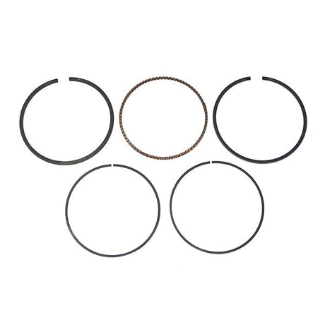 WSM PISTON RINGS MERCU/YAM 75 - 115HP .010 (200 - 300 - 04) - DRIVEN Canada's Powersports 865369284610200 - 300 - 04