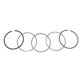 WSM PISTON RINGS YAM 150 - 250 4 STROKE .020 (200 - 335 - 05) - DRIVEN Canada's Powersports 865369193325200 - 335 - 05