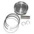 WSM PLATINUM SERIES PISTON (010 - 861PK) - DRIVEN Canada's Powersports 865369133796010 - 861PK