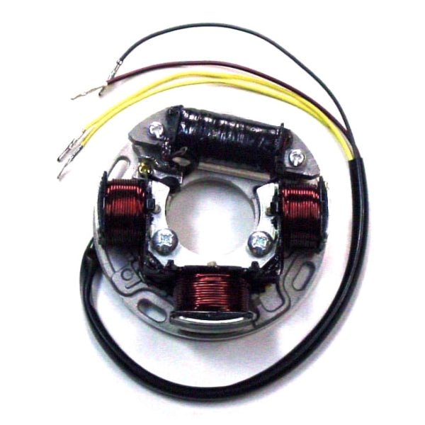 WSM STATOR (004 - 202) - DRIVEN Canada's Powersports 865369041329004 - 202
