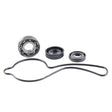 WSM WATER PUMP REBUILD KIT (24 - 001) - DRIVEN Canada's Powersports 86536997380424 - 001