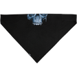 ZAN HEADGEAR BANDANNA SPORTFLEX SERIES MIDNIGHT SKULL (BL417) - DRIVEN Canada's Powersports 642608052564BL417