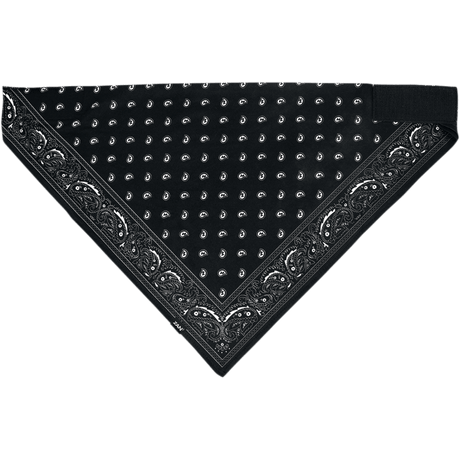 ZAN HEADGEAR BANDANNA SPORTFLEX SERIES PAISLEY - DRIVEN Canada's Powersports 642608052571BL101
