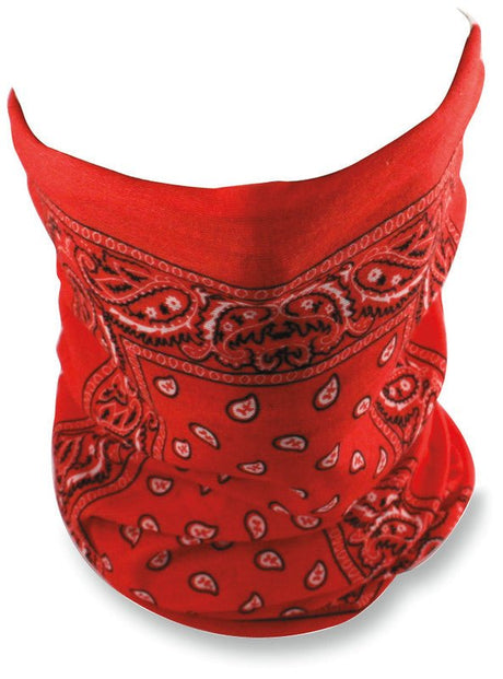 ZAN HEADGEAR MOTLEY TUBE PAISLEY - DRIVEN Canada's Powersports 642608038285T101