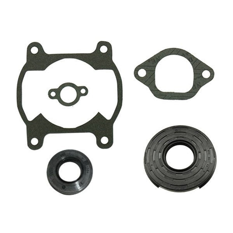 SPX ENGINE GASKET SETS & OIL SEALS (09 - 711027A) - DRIVEN Canada's Powersports 68257700221409 - 711027A