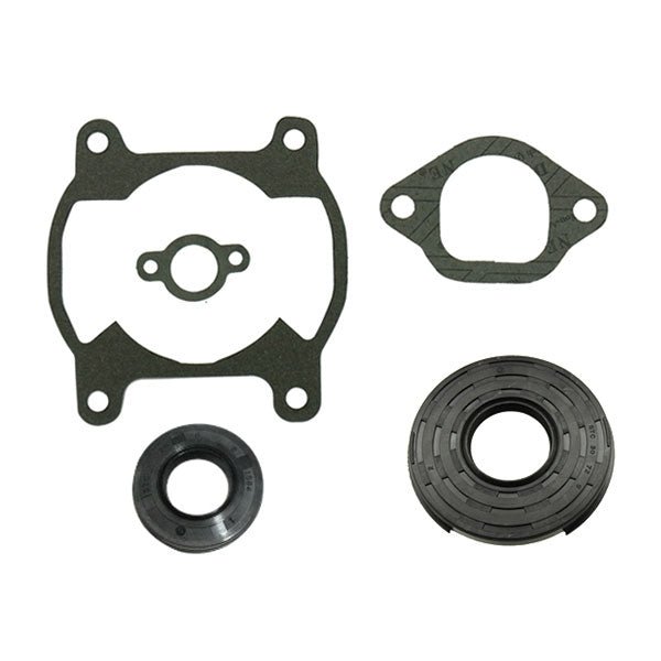 SPX ENGINE GASKET SETS & OIL SEALS (09 - 711027A) - DRIVEN Canada's Powersports 68257700221409 - 711027A