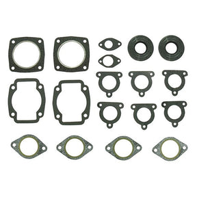 SPX ENGINE GASKET SETS & OIL SEALS (09 - 711060A) - DRIVEN Canada's Powersports 68257700222109 - 711060A