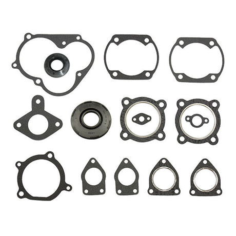 SPX ENGINE GASKET SETS & OIL SEALS (09 - 711142) - DRIVEN Canada's Powersports 68257700225209 - 711142
