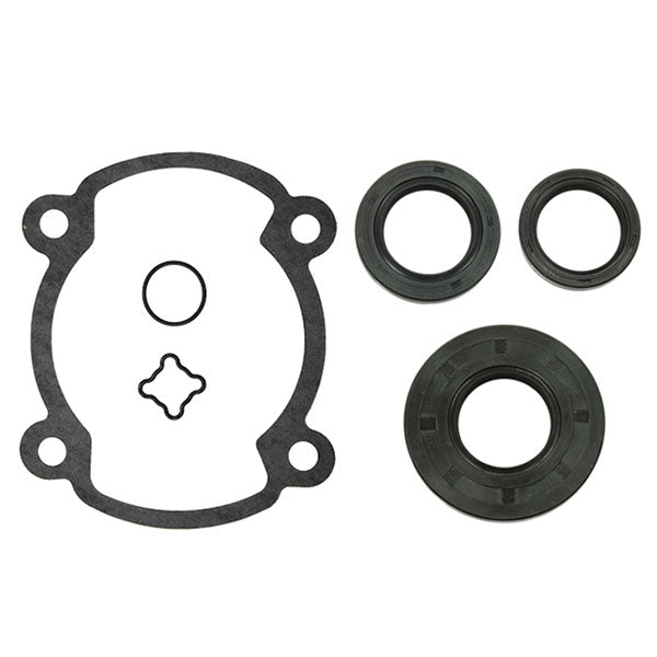 SPX ENGINE GASKET SETS & OIL SEALS (09 - 711164) - DRIVEN Canada's Powersports 68257700228309 - 711164