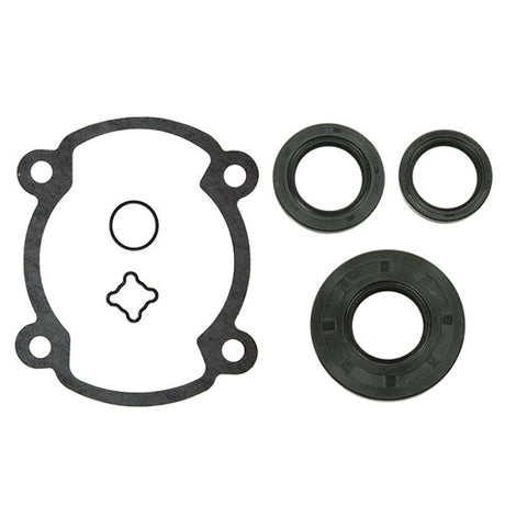SPX ENGINE GASKET SETS & OIL SEALS (09 - 711164) - DRIVEN Canada's Powersports 68257700228309 - 711164