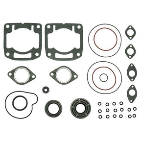 SPX ENGINE GASKET SETS & OIL SEALS (09 - 711179) - DRIVEN Canada's Powersports 68257700233709 - 711179