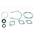 SPX Engine Gasket Sets & Oil Seals (09 - 711195) - DRIVEN Canada's Powersports 68257700239909-711195