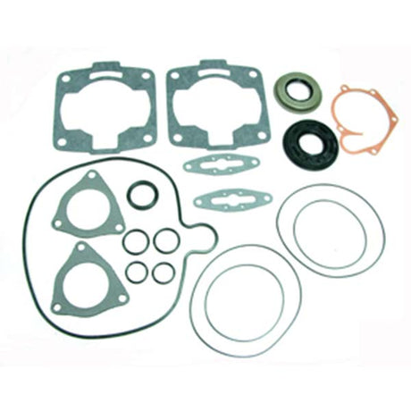 SPX ENGINE GASKET SETS & OIL SEALS (09 - 711265) - DRIVEN Canada's Powersports 68257700262709 - 711265