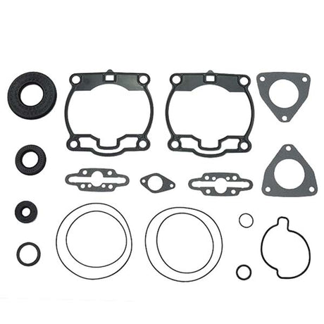 SPX ENGINE GASKET SETS & OIL SEALS (09 - 711282) - DRIVEN Canada's Powersports 68257700267209 - 711282