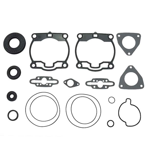 SPX ENGINE GASKET SETS & OIL SEALS (09 - 711282) - DRIVEN Canada's Powersports 68257700267209 - 711282
