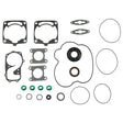 SPX Engine Gasket Sets & Oil Seals (09 - 711307) - DRIVEN Canada's Powersports 68257700275709-711307