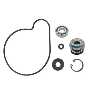 SPX WATER PUMP REBUILD KIT (10 - 721267) - DRIVEN Canada's Powersports 10 - 721267