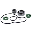 VERTEX WATER PUMP REBUILD KIT (821331) - DRIVEN Canada's Powersports 534821331821331