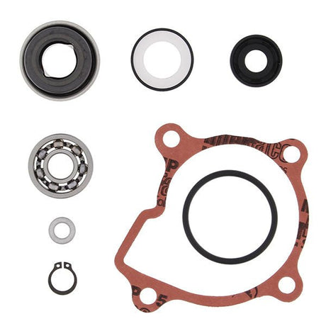 VERTEX WATER PUMP REBUILD KIT (821865) - DRIVEN Canada's Powersports 821865821865